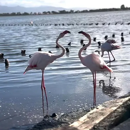 Casa Rokaria31 * كوارتو سانتيلينا